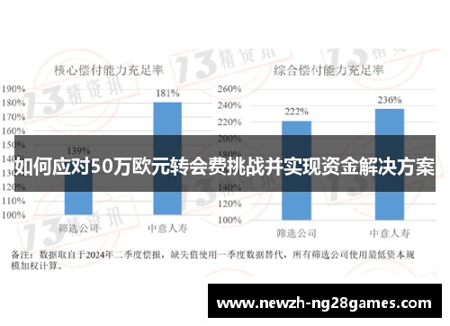如何应对50万欧元转会费挑战并实现资金解决方案 如何应对50万欧元转会费挑战并实现资金解决方案